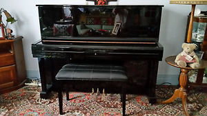 Alex Steinbach WG-5 Piano