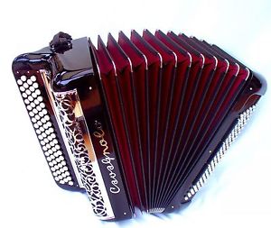 Cavagnolo Chromatic Button Accordion 120 basses rare!