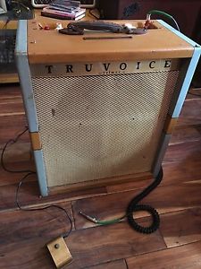 1950s Selmer Truevoice Selector Tone 1X15 Fane Combo Amp -Rockabilly SeeVideo