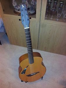 Avian electro acoustic guitar
