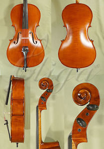 European STUDENT Level 1/2 'GEMS 2' CELLO from ViolinsLover