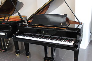 Steinway & Sons Flügel, Mod. M 170, Bj. 1964, 5 J. Garantie, AKTIONSPREIS