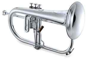 Display Jupiter XO 1646s Professional Flugelhorn  awesome Silver Plate