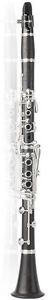 Uebel Advantage Clarinet, Professional Clarinet, Comparable to Buffet R13
