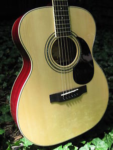 Zager Easy Play ZAD50 OM Size Acoustic Guitar...rated in the top 2% of guitars!