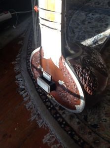 Sitar Instrument