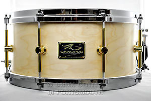 Canopus 'The Maple' Snare Drum 14x6.5 w/ Cast Hoops Oil - M-1465-O