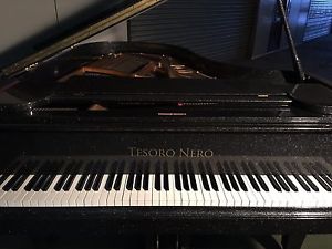 INCREDIBLE HIGH GLOSS SPARKLY GRAND PIANO