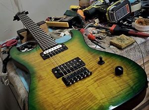 Washburn Face Eraser 6 string guitar rare shadows fall anthrax dimebag