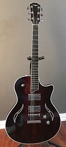 Ultra Rare Taylor T3-C Cocobolo 35th Anniversary 1 of 15, HD & Vintage Pickups