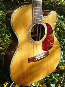 Zager Easy Play ZAD80CE OM Size  Acoustic Electric Guitar...rated in the top 2%!