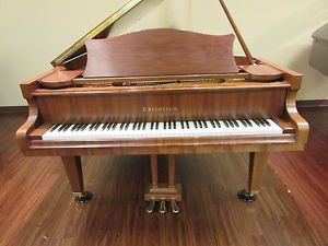 C. Bechstein Grand Model B