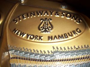 1994 Steinway Model M 1014 Chippendale Grand Piano-Walnut Fin-88 notes-IQ-IPOD