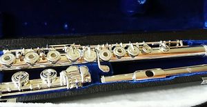 Di Zhao DZ-500 Flute Silver Head Open Hole Offset G B Foot