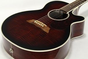 Used Takamine / DSP-110 Takamine from JAPAN EMS