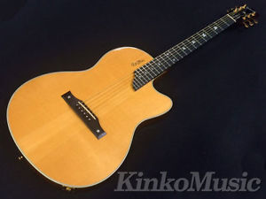 Gibson Chet Atkins SST made 1993 Used  w/ Gigbag