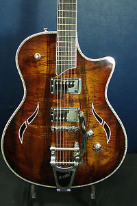 Taylor T-3 Semi Hollowbody Custom Guitar