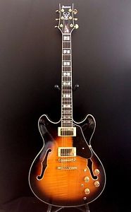 IBANEZ JSM10-VYS John Scofield Signatur E-Gitarre