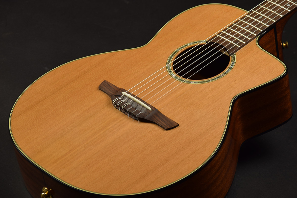 Used Takamine / PTU620NC from JAPAN EMS