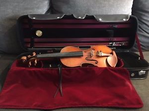 Violin Eastman VL905