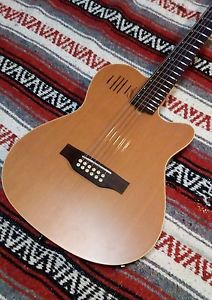 Godin A12 12-string Acoustic Electric Guitar