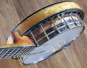 RARE 1995 Stelling Alan Munde Staghorn 5-String Banjo - LOADED AND STUNNING!!!