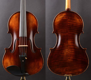 Double Bass (Gamba) Shape A T20+ Viola 16.25