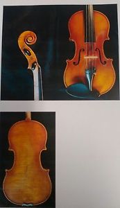 violino autentico cremonese 4/4 del 2005