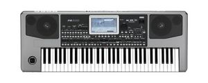 Korg PA900 Arranger Keyboard 61 key  USB / PA 900 / in box /// ARMENS