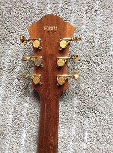 Ibanez Jazz Guitar Pm 120