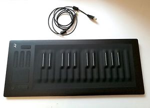 Roli Seaboard Rise 25 MIDI USB-Keyboard TOP WIE NEU