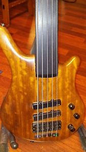 warwick thumb bass fretless 5