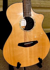 Breedlove Solo Concert Guitar w/ L.R. Baggs Preamp, Gigbag, and Pro Setup