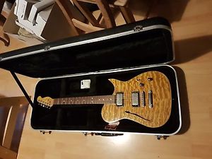 Mega Rare Tommy's Special Guitar Moderne, Thinline Telecaster, neuwertig, CaseA