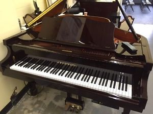 Cristofori CRG54 Mahogany Polish Player