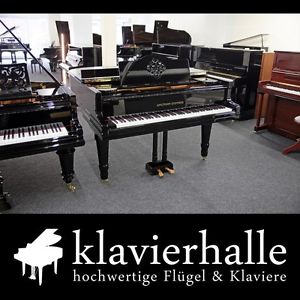Schöner Grotrian-Steinweg Flügel, 170cm, schwarz poliert ★ komplett restauriert