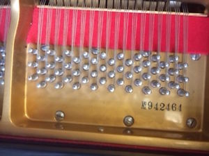 2000 PEARL RIVER BABY GRAND PIANO