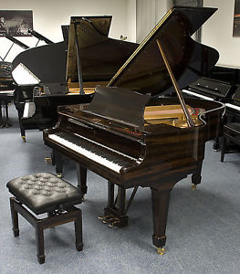 Steinway & Sons M 170 Flügel, gebraucht, Makassar Ebenholz Holz Bj. 1962
