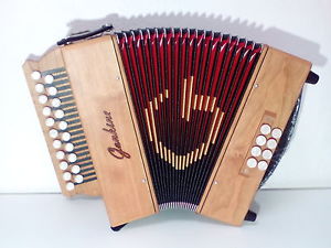 Accordéon diatonique LA RE neuf avec sac et bretelles