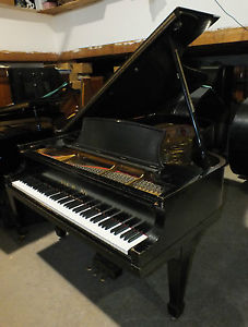 STEINWAY Model "B" Piano- Used in NOLA RECORDING STUDIO in NYC  Free Delivery