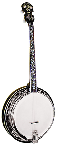 Gold Tone TS-250AT Tenor Special Archtop Tenor Banjo (Vintage Brown)