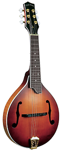 Gold Tone Gm6 Gm6 Left Handed Ac
