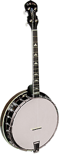 Gold Tone IT-250R Banjo