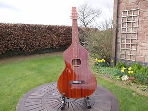 Gold Tone Weissenborn SM