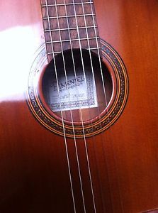 Pimental Guitar in great condition.