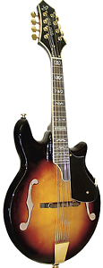 Gold Tone Rigel GM-110 Mandolin (Spurce)