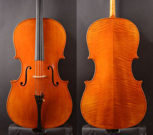 Super spruce!Best "Pietro Giacomo Rogeri" 1717 Copy cello,Aubert Bridge