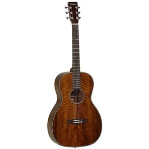 Tanglewood Sundance Delta TW40P-D Parlour Acoustic Guitar
