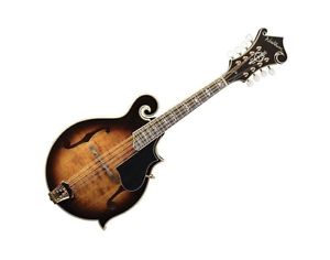 WASHBURN BLUEGRASS SERIES F-STYLE JETHRO BURNS ACOUSTIC MANDOLIN w/ CASE  M6SWK