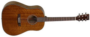 Tanglewood Sundance Delta TW40SD-D Acoustic Guitar